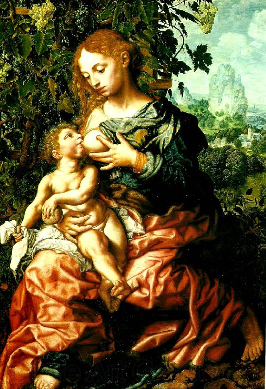 Jan Sanders van Hemessen maria med barnet Spain oil painting art